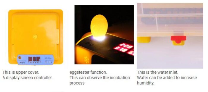 Ndeal | Egg Incubator for Hatching Eggs, Digital Mini Incubator with Automatic Turner for Hatching Chicken Duck Quail Bird Eggs(48 Eggs) - Image 8