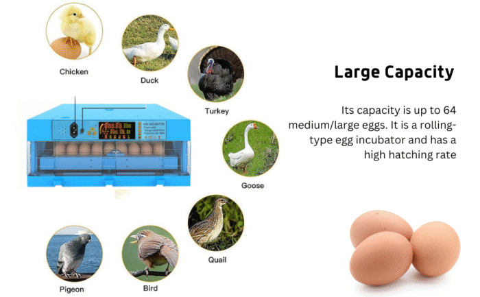 Ndeal Automatic Egg Incubator 64 Eggs Capacity With Egg Turning Tray - Image 2