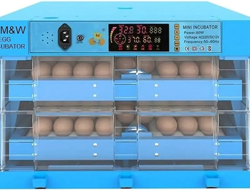 Ndeal 128 Eggs Fully Automatic Incubator Blue