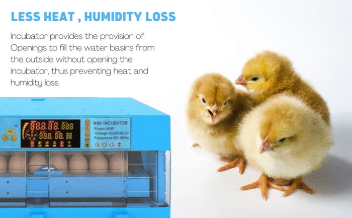 Ndeal Automatic Egg Incubator 64 Eggs Capacity With Egg Turning Tray - Image 6
