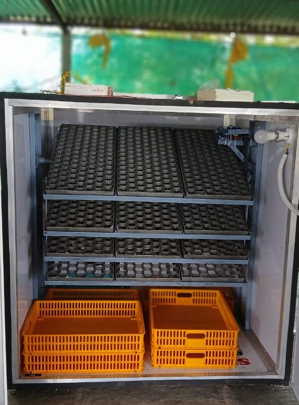 Ndeal Heavy duty body 1200  Eggs fully automatic eggs incubator ( 1200 eggs incubator)